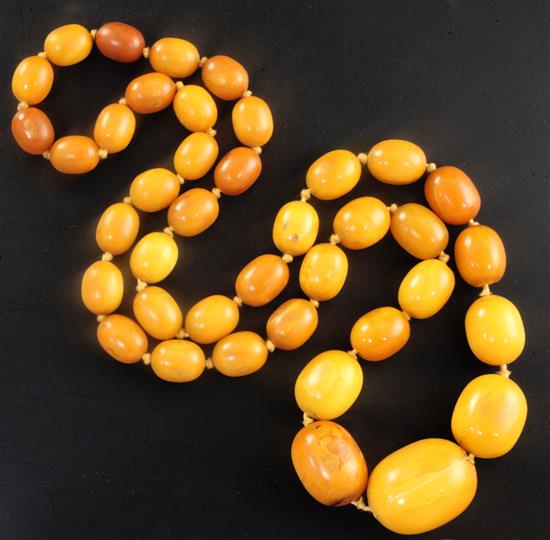 A single strand graduated oval amber bead necklace, 82cm.